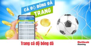 Trang cá độ bóng đá – Cách xác định trang uy tín và kinh nghiệm cá độ