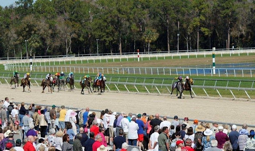 Tampa Bay Downs